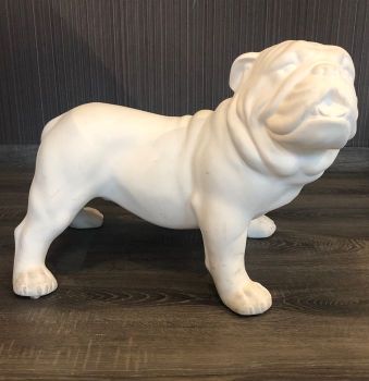 Statua in gesso bianco - Bulldog Inglese
